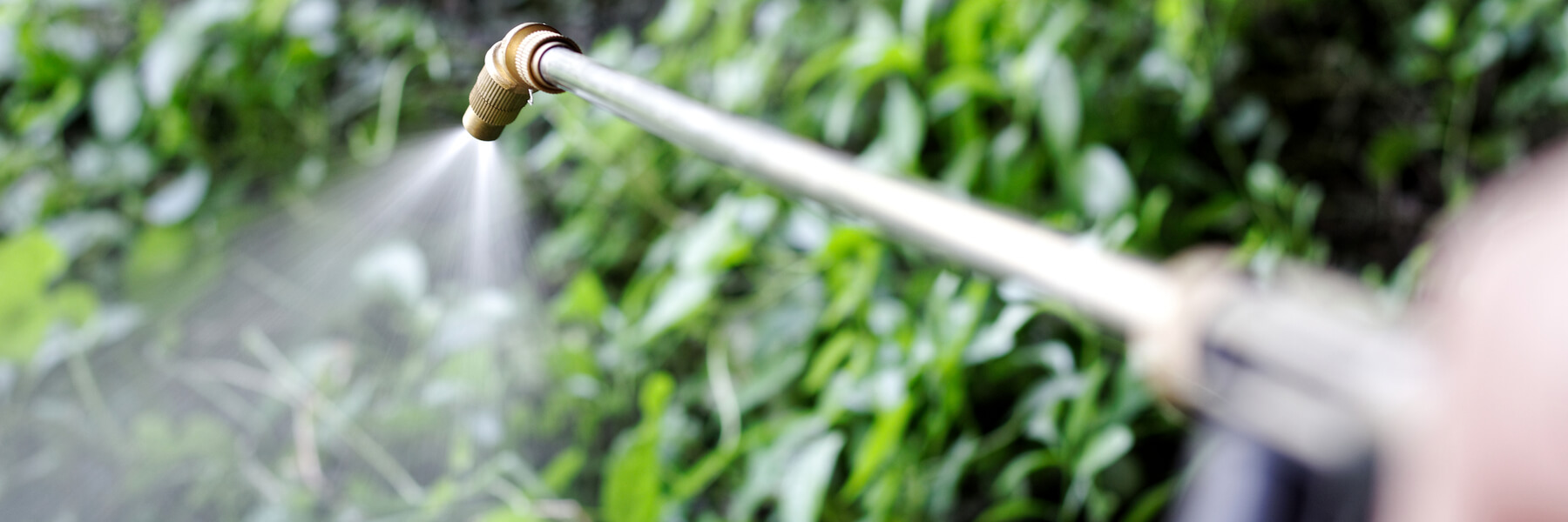 Is There a Link Between Paraquat and Parkinson’s Disease?